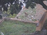 Recorrido Padul 04-2013 009